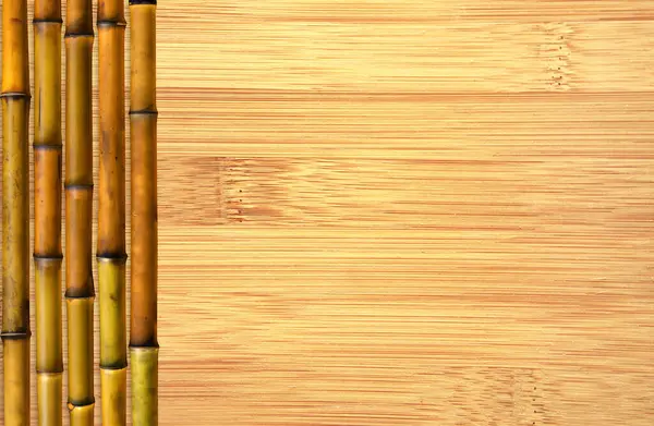 Fondo Bambú Orgánico Fondo Ecológico Con Tallos Bambú Textura Tablero —  Fotos de Stock