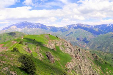 Taşkent bölgesindeki Chimgan Dağları 'nın güzel manzarası. Özbekistan, Charvak Gölü yakınlarındaki Batı Tien Shan Dağları 'ndaki cennet manzarası
