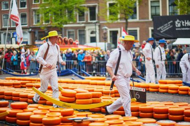 ALKMAAR, NETHERLANDS - 29 Nisan 2022: Hollanda 'nın Alkmaar kentindeki ünlü Hollanda peynir pazarında peynirle yürüyen peynir taşıyıcılar