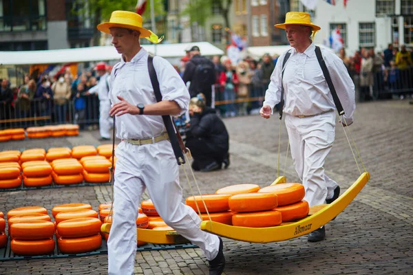 Alkmaar Netherlands April 2022 Cheese Carriers Walking Cheeses Famous Dutch — Φωτογραφία Αρχείου