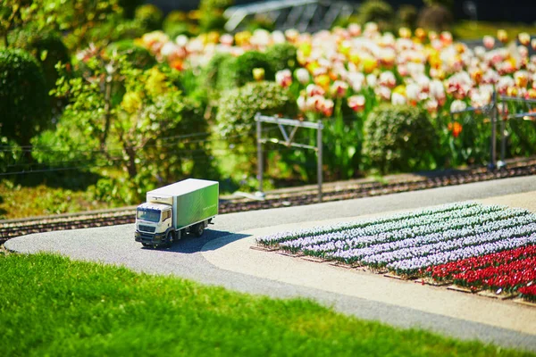 Das Haag Niederlande April 2022 Mini Tulpenfelder Miniaturpark Madurodam Den — Stockfoto