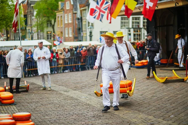 Alkmaar Netherlands April 2022 Cheese Carriers Walking Cheeses Famous Dutch — стоковое фото