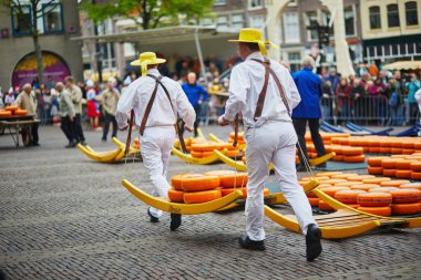 ALKMAAR, THE NETHERLANDS - APRIL 29, 2022: Cheese carriers walking with cheeses at famous Dutch cheese market in Alkmaar, the Netherlands