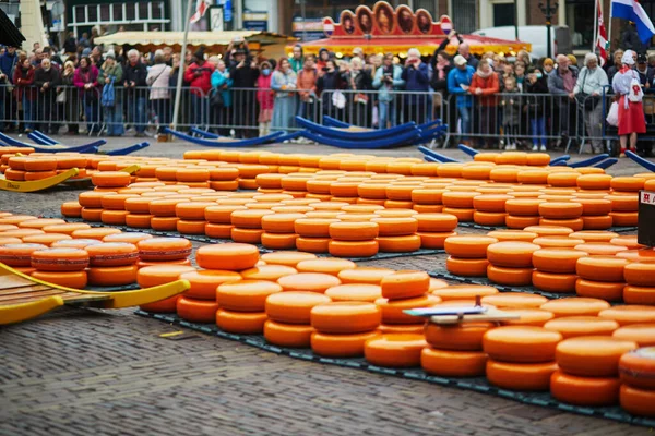 Alkmaar Netherlands April 2022 Cheese Carriers Walking Cheeses Famous Dutch — стоковое фото