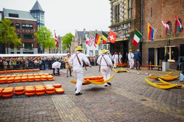 ALKMAAR, NETHERLANDS - 29 Nisan 2022: Hollanda 'nın Alkmaar kentindeki ünlü Hollanda peynir pazarında peynirle yürüyen peynir taşıyıcılar