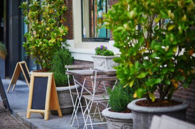 Hollanda, Alkmaar 'daki açık kafede birçok yeşil bitki ve menü için kara tahta