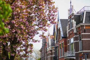 Hollanda 'nın güzel Alkmaar kasabasının manzarası