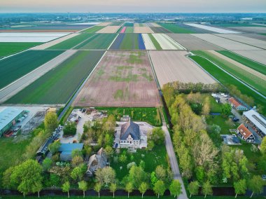 Tipik Hollanda tarlaları ve polenler için hava aracı görüntüsü. Hollanda 'nın tipik kırsal manzarası