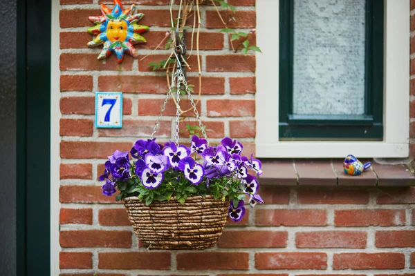 Schöne Straße Mit Blumen Der Stadt Alkmaar Niederlande — Stockfoto