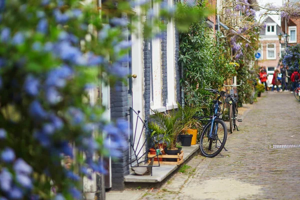 Bela Rua Decorada Com Flores Cidade Alkmaar Nos Países Baixos — Fotografia de Stock