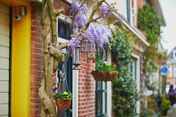 荷兰阿尔卡迈尔镇美丽的街道装饰着鲜花 — 图库照片