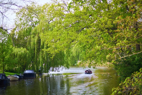 Kanalları Parklarıyla Güzel Alkmaar Kasabasının Manzarası Hollanda — Stok fotoğraf