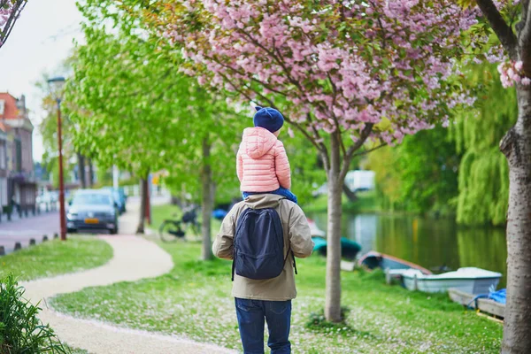父亲和女儿一起走在荷兰阿尔卡迈尔镇 阿尔卡玛大街上 一个男人背着一个比他高的学龄前女孩 — 图库照片