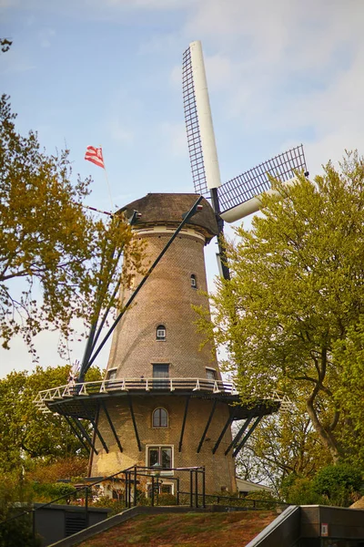 荷兰Alkmaar镇美丽的风车 — 图库照片