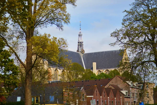 Vista Panorâmica Catedral Grote Sint Laurenskerk Alkmaar Países Baixos — Fotografia de Stock