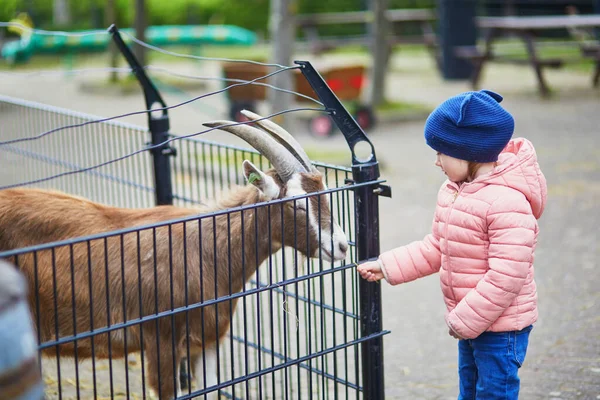 Adorable Niñita Alimentando Cabra Granja Niña Familiarizándose Con Los Animales —  Fotos de Stock