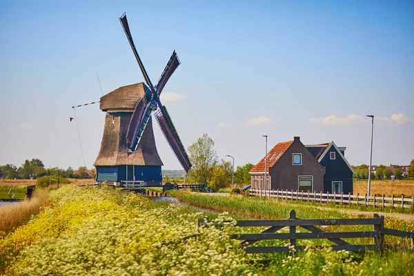 传统的荷兰风车在战场上 荷兰典型的农村景观 — 图库照片