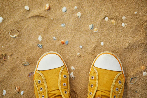 砂のビーチで多くのシェルと黄色のスニーカーの閉鎖 — ストック写真