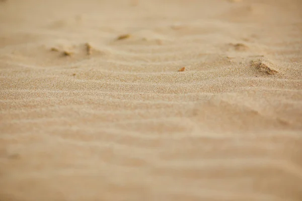 Sandstrand Egmond Aan Zee Nära Alkmaar North Holland Nederländerna — Stockfoto