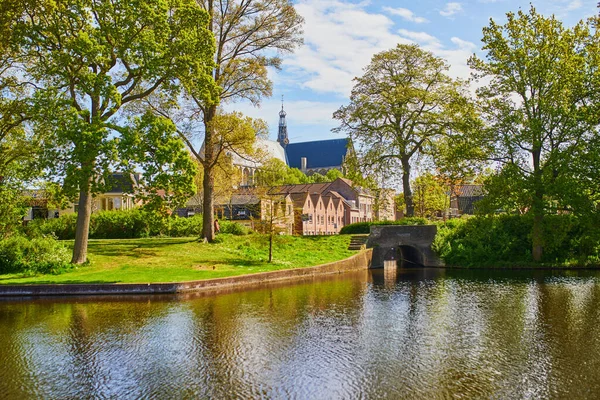 Vista Panorámica Catedral Grote Sint Laurenskerk Alkmaar Países Bajos — Foto de Stock