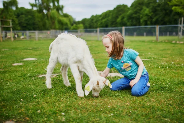 Adorable Little Girl Playing Goats Sheep Farm Child Familiarizing Herself — Stock Photo, Image