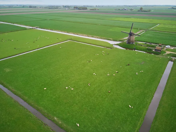 Vista Aérea Drones Del Molino Viento Tradicional Holandés Campo Con —  Fotos de Stock
