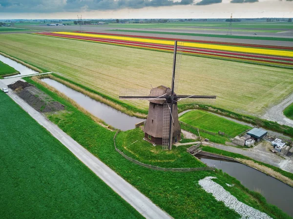 Повітряний Дрон Вид Традиційного Голландського Вітряка Полі Бою Типовий Краєвид — стокове фото
