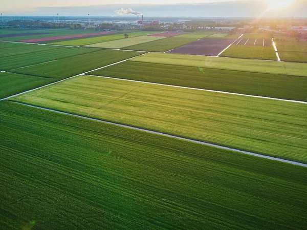 典型的なオランダのフィールドとポルダーの空中ドローンビュー オランダの田舎の典型的な風景 — ストック写真