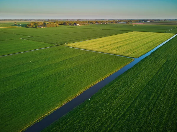 Vista Aérea Drone Campos Polders Holandeses Típicos Paisagem Típica Campo — Fotografia de Stock