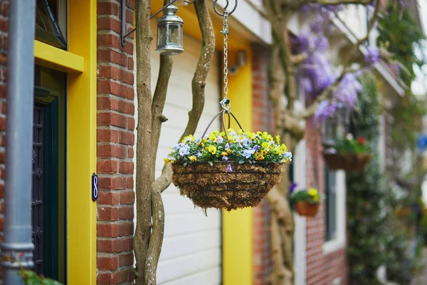 Bella Strada Decorata Con Fiori Nella Città Alkmaar Paesi Bassi — Foto Stock