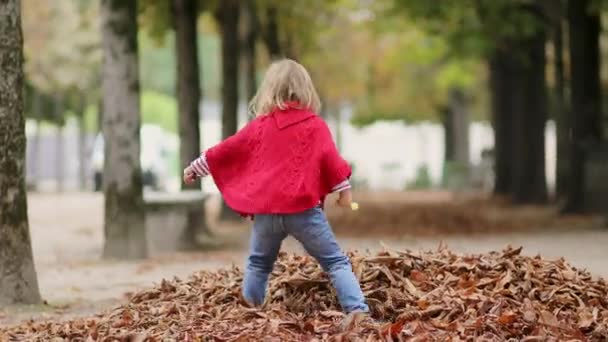 Adorabile Bambina Età Prescolare Che Passeggia Nel Giardino Delle Tuileries — Video Stock