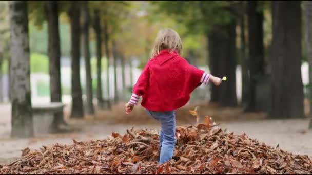 Urocza Przedszkolanka Spacerująca Paryskim Ogrodzie Tuileries Jesienią Szczęśliwe Dziecko Cieszące — Wideo stockowe