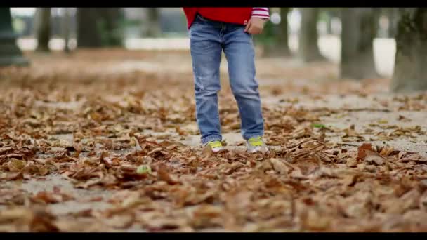 パリのチュイルリー庭園を歩く愛らしい未就学児の女の子は 秋の日に 秋の日を楽しむ幸せな子供 フランスの秋 子供のための屋外秋の活動 — ストック動画
