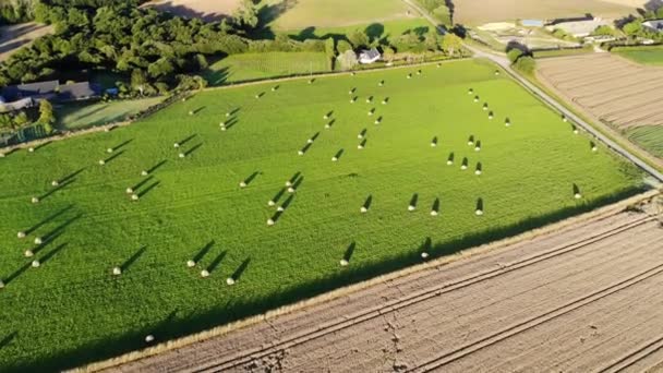 Luchtfoto Van Weiden Landbouwgronden Bretagne Frankrijk Prachtig Frans Landschap Met — Stockvideo