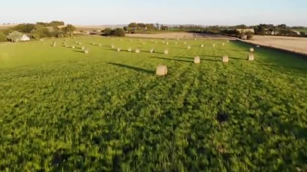 Вид Воздуха Пастбища Пастбища Бретани Франция Французская Деревня Зелеными Полями — стоковое видео
