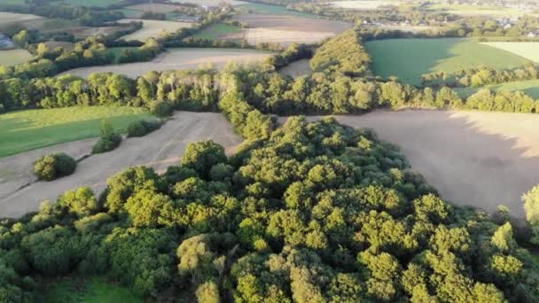 Luchtfoto Van Weiden Landbouwgronden Bretagne Frankrijk Prachtig Frans Landschap Met — Stockvideo