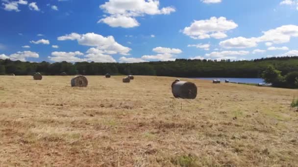 ブルターニュ フランスの牧草地や農地の空中ビュー 緑のフィールドと牧草地と美しいフランスの田舎 日没の田園風景 — ストック動画