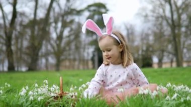 Girl wearing bunny ears playing egg hunt on Easter. Preschooler sitting on the grass with many snowdrop flowers and gathering colorful eggs in basket. Little kid celebrating Easter outdoors