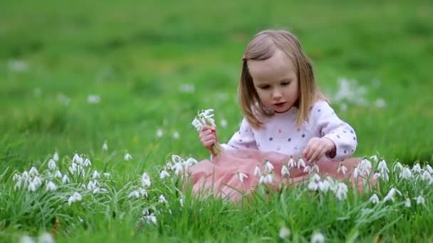 Cute Przedszkolak Dziewczyna Różowej Spódnicy Tutu Siedzi Trawie Wielu Kwiatów — Wideo stockowe