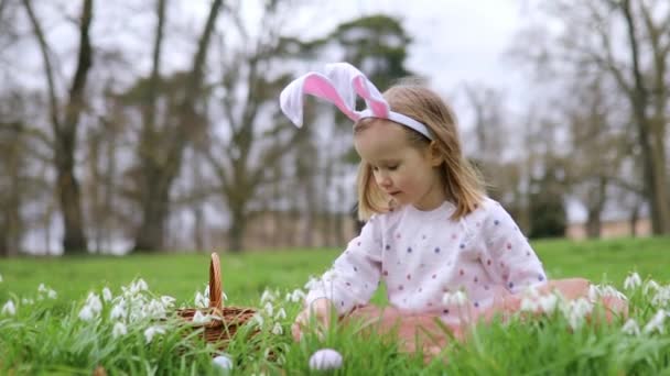 Дівчина Кролячих Вухах Грає Полювання Яйце Великдень Дошкільник Сидить Траві — стокове відео