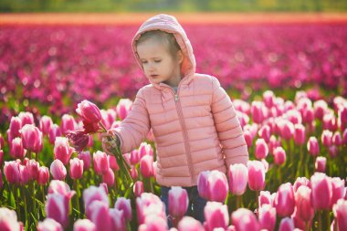 Adorable preschooler girl in beautiful blossoming tulip field in Zuid-Holland, the Netherlands