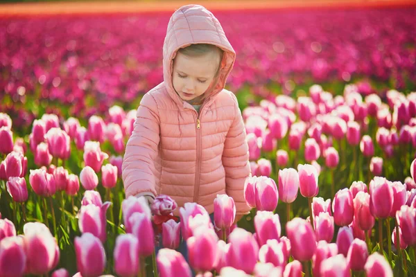 Adorable Preschooler Girl Beautiful Blossoming Tulip Field Zuid Holland Netherlands — Stok fotoğraf