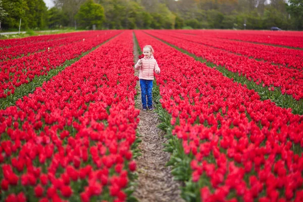 Adorable Preschooler Girl Beautiful Blossoming Red Tulip Field Zuid Holland — Stok fotoğraf