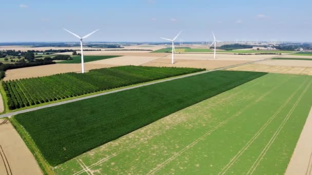 ノルマンディー フランスの風洞と緑と黄色のフィールドの風光明媚な空中ドローンビュー — ストック動画