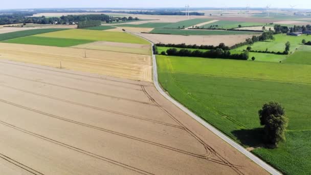Scenic Aerial Drone View Wind Trubines Green Yellow Fields Normandië — Stockvideo