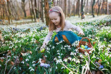 Five year old girl playing egg hunt on Easter. Child sitting on the grass with many snowdrop flowers and gathering colorful eggs in basket. Little kid celebrating Easter outdoors in park or forest