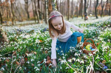 Five year old girl playing egg hunt on Easter. Child sitting on the grass with many snowdrop flowers and gathering colorful eggs in basket. Little kid celebrating Easter outdoors in park or forest