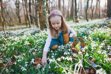 Five year old girl playing egg hunt on Easter. Child sitting on the grass with many snowdrop flowers and gathering colorful eggs in basket. Little kid celebrating Easter outdoors in park or forest
