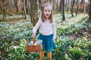 Five year old girl playing egg hunt on Easter. Child sitting on the grass with many snowdrop flowers and gathering colorful eggs in basket. Little kid celebrating Easter outdoors in park or forest