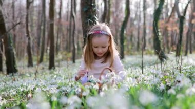 Five year old girl playing egg hunt on Easter. Child sitting on the grass with many snowdrop flowers and gathering colorful eggs in basket. Little kid celebrating Easter outdoors in park or forest